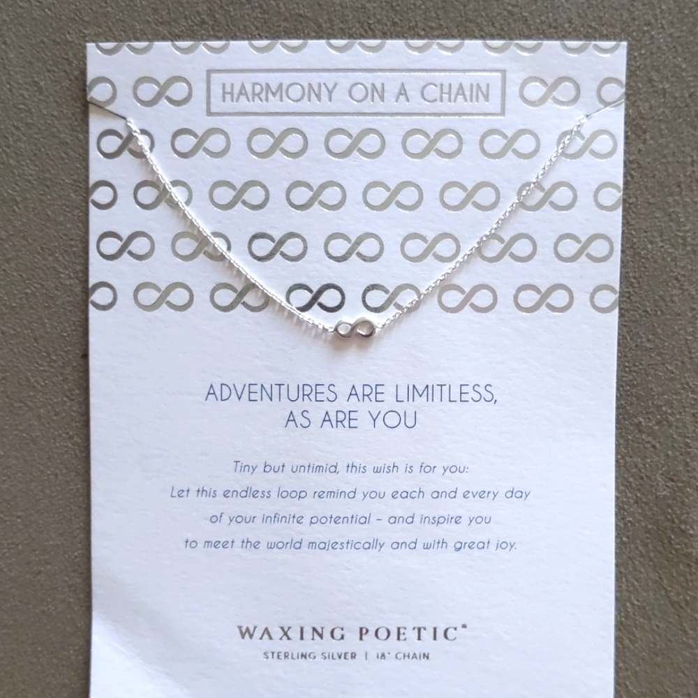 Waxing Poetic Mini Sterling Silver Infinity